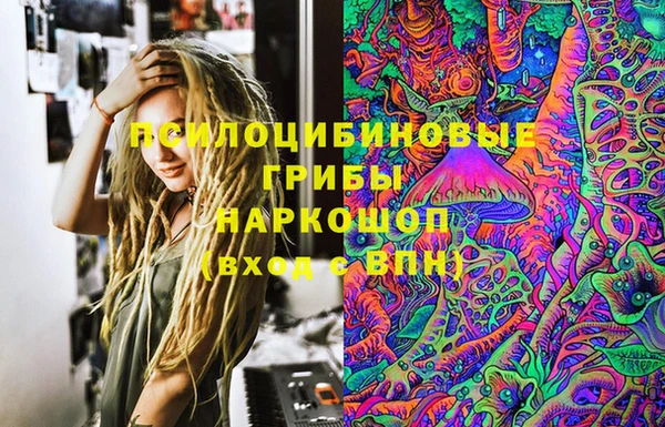 спиды Богородск