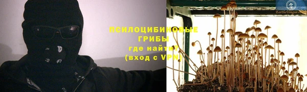 спиды Богородск