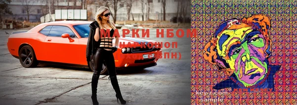 спиды Богородск