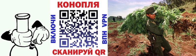 Бошки марихуана планчик  цены   Бийск 
